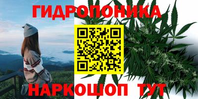 молекула духа Кунгур