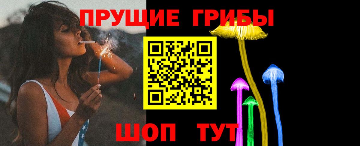 Псилоцибиновые грибы MAGIC MUSHROOMS  Псилоцибиновые грибы Magic Shrooms  Вход с VPN  Кольчугино 